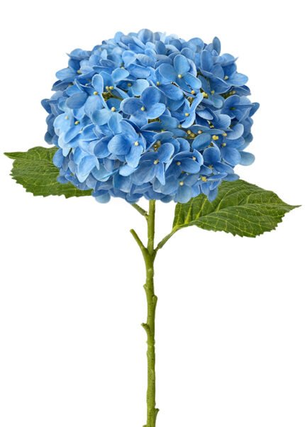 artificial flowers real touch flowers faux hydrangeas