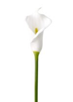 artificial flowers real touch flowers PU flowers faux calla lily