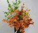 Artificial flowers in modern decor