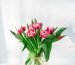 pink petaled flower centerpiece in clear glass vase