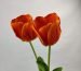 two artificial real touch orange tulips
